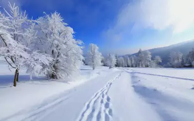 Winter Snow
