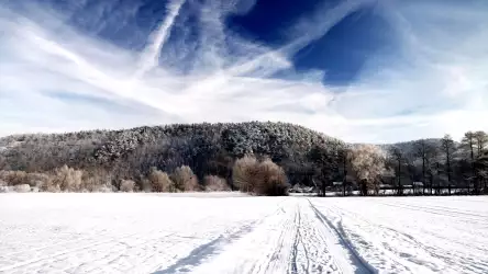 Winter Scenery